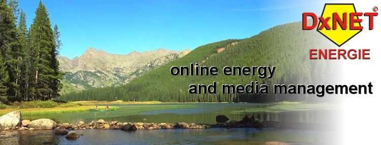 online Energy- and Mediamanagement